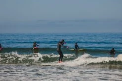 Almond X KBut | Mega Beach Chicken -Surf Story Shop 2E1A3814